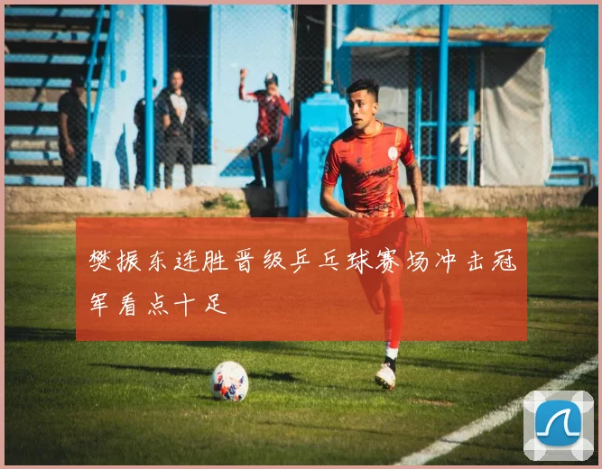 樊振东连胜晋级乒乓球赛场冲击冠军看点十足