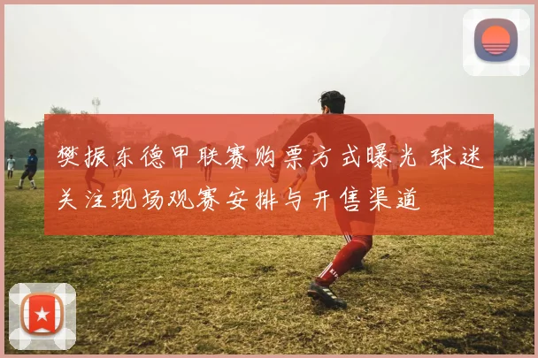 樊振东德甲联赛购票方式曝光 球迷关注现场观赛安排与开售渠道