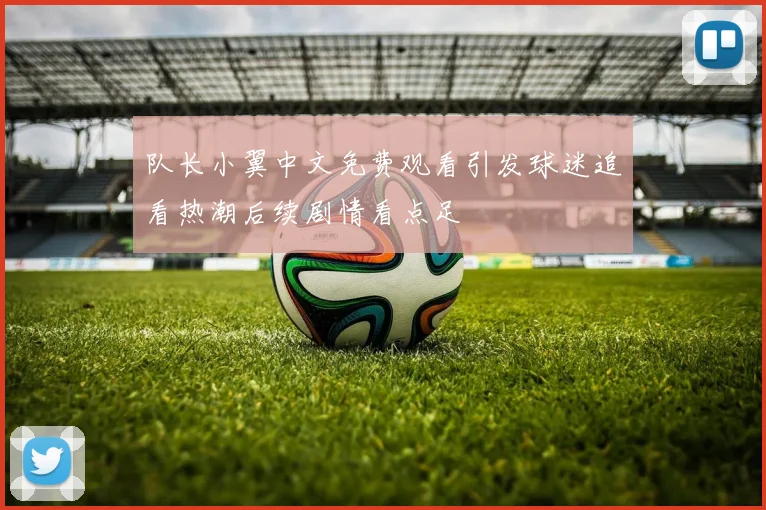 队长小翼中文免费观看引发球迷追看热潮后续剧情看点足