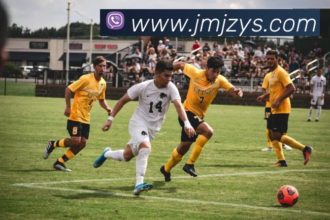 j9国际站官网入口发展历程